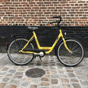 Vélo Hollandais Batavus Leenfiets