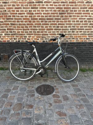 Vélo Hollandais Batavus Kayenta