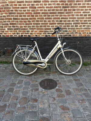 Vélo Hollandais Gazelle Chamonix Pure
