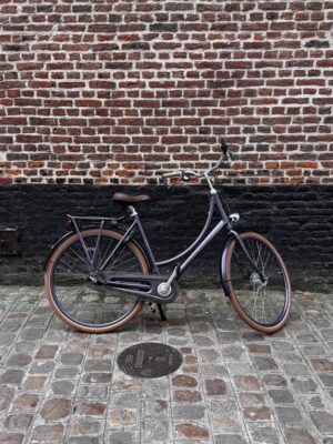 Vélo Hollandais Batavus Diva
