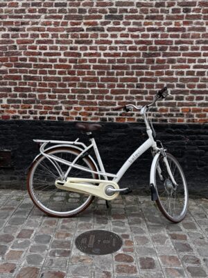 Vélo Hollandais Batavus Inspire