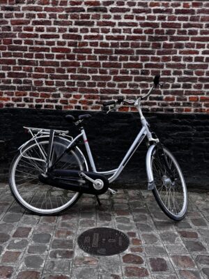 Vélo Hollandais Batavus Holiday