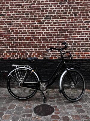 Vélo Hollandais Cortina Roots