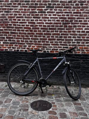 Vélo Hollandais Gazelle XR Series