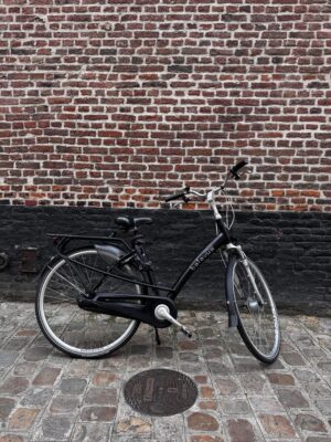 Vélo Hollandais Batavus Inspire