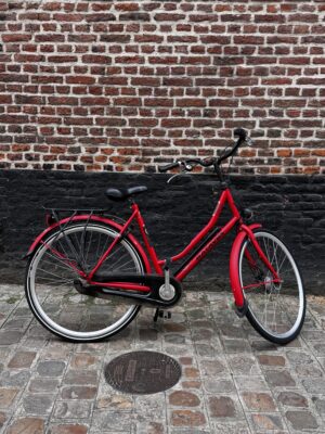Vélo Hollandais Batavus Winner