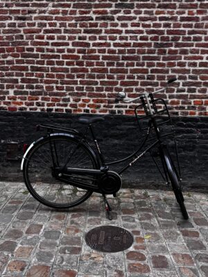 Vélo Hollandais Omafiet Pointer