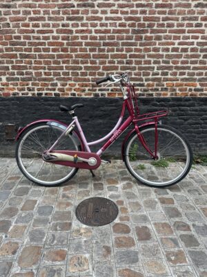 Vélo Hollandais Batavus Flying Dutch