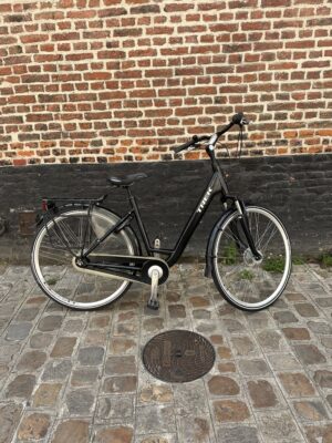 Vélo Hollandais Trek L400