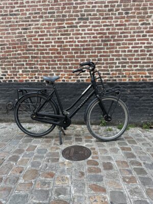 Vélo Hollandais Gazelle Heavy Duty