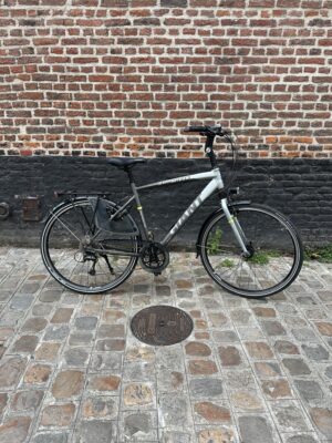 Vélo Hollandais Giant Aspiro