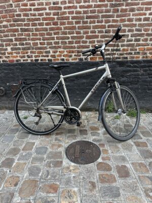Vélo Hollandais Trek T300