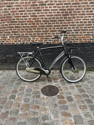 Vélo Hollandais Sparta pallas