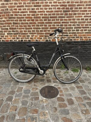 Vélo Hollandais Multi cycle alfine 8