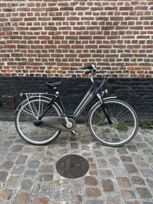 Vélo Hollandais Gazelle Chamonix