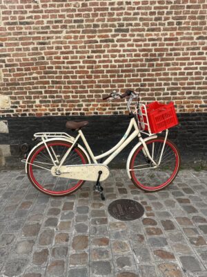 Vélo Hollandais Cortina Roots
