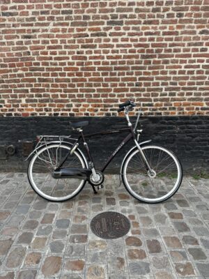 Vélo Hollandais Gazelle Chamonix