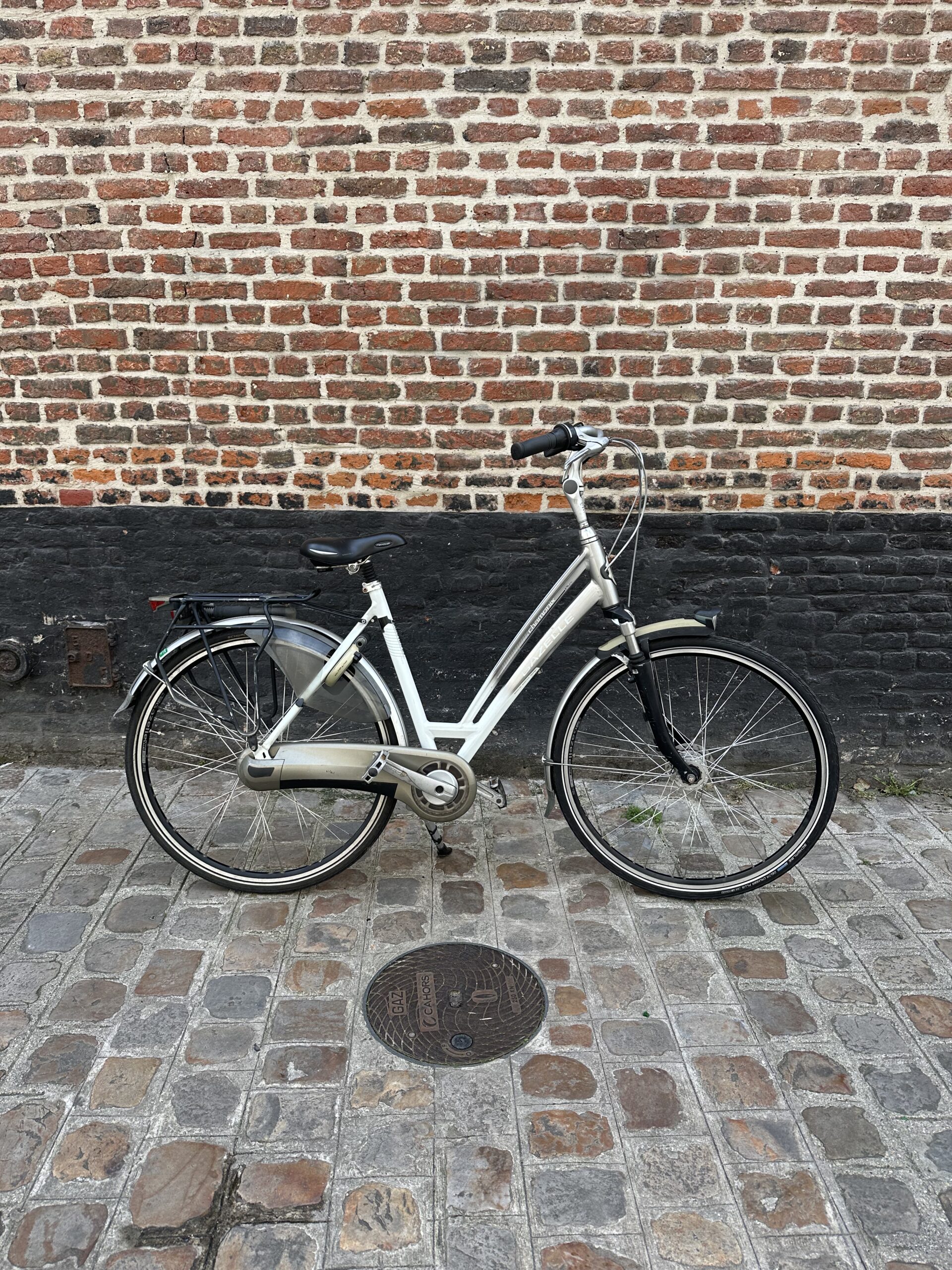 Vélo Hollandais Gazelle Chamonix
