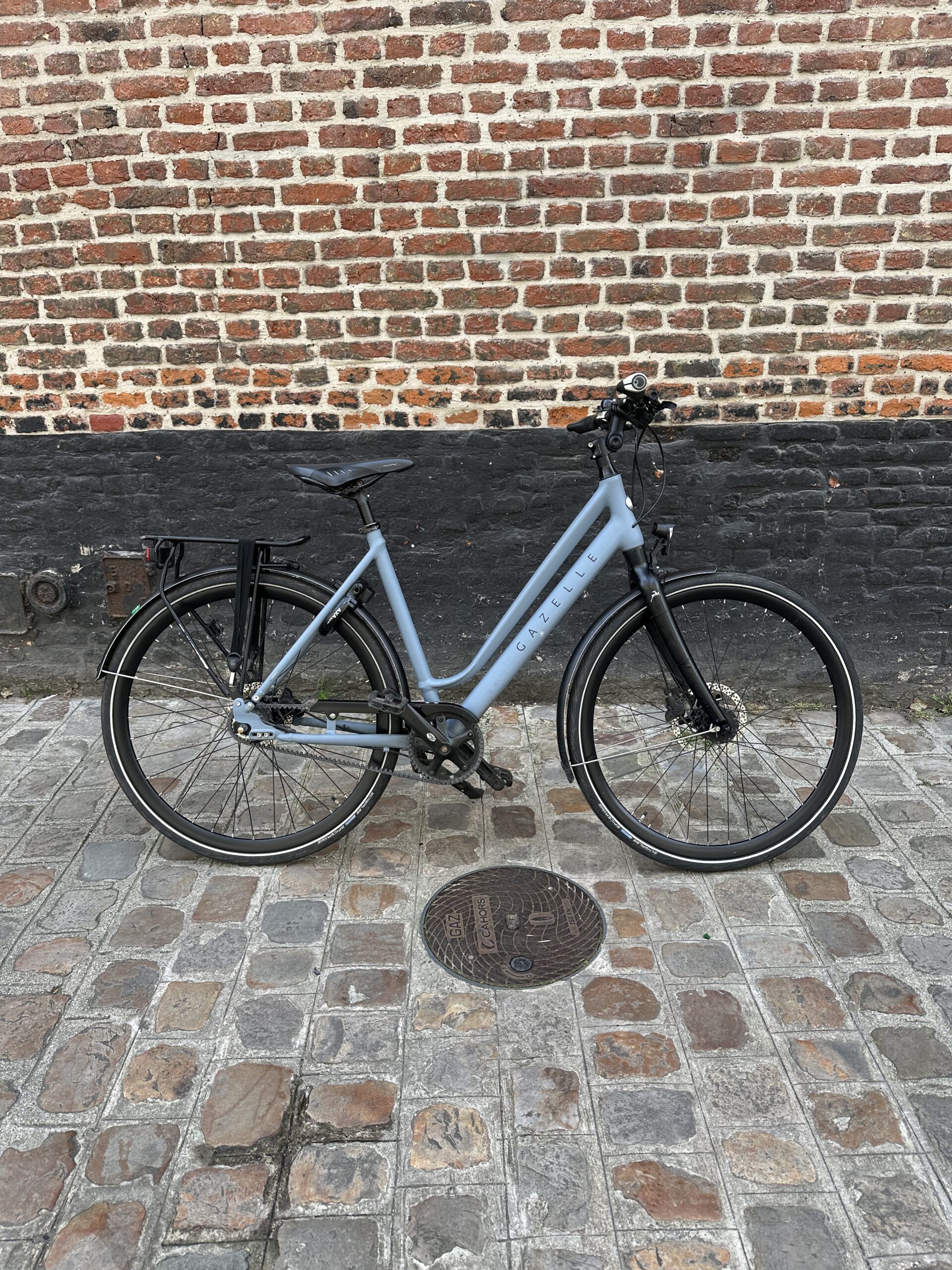 Vélo Hollandais Gazelle Chamonix S8 "My 2024"
