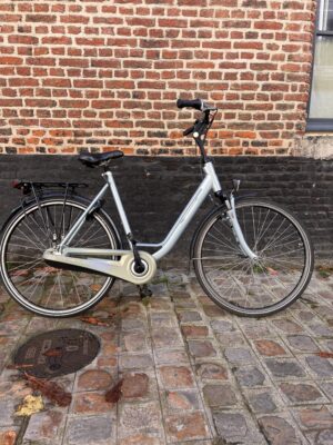 Vélo Hollandais Batavus Ways