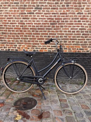 Vélo Hollandais Sparta Pickup