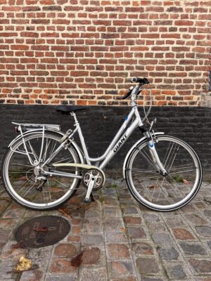 Vélo Hollandais Giant Freerider