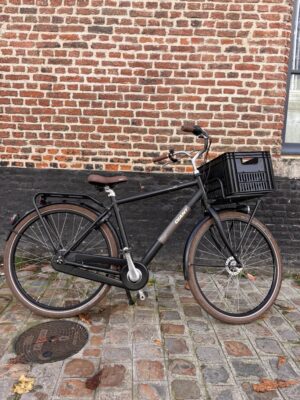 Vélo Hollandais Giant Triple X