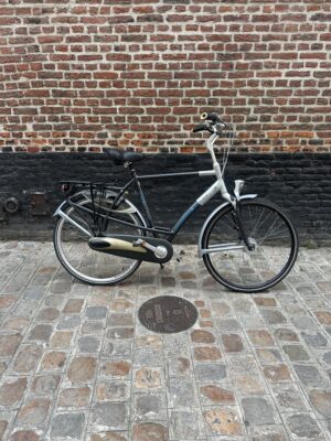 Vélo Hollandais Batavus Mambo