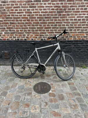 Vélo Trek L300