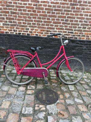 Vélo Hollandais Gazelle Madelier