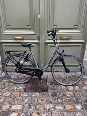 Vélo Hollandais Sparta F83