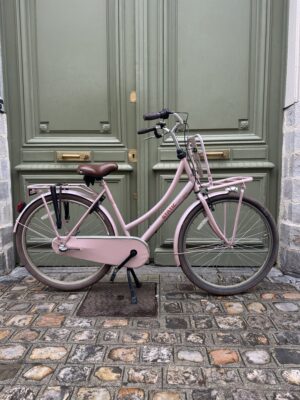 Vélo Hollandais Static