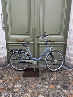 Vélo Hollandais Gazelle Bloom