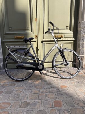 Vélo Hollandais Batavus Mambo