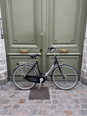 Vélo Hollandais Gazelle Furore