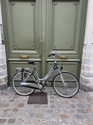 Vélo Hollandais Target