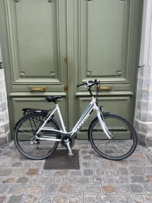 Vélo Hollandais Batavus Tourmalet