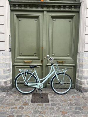 Vélo Hollandais Batavus Diva