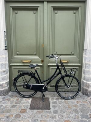 Vélo Hollandais Cortina Roots