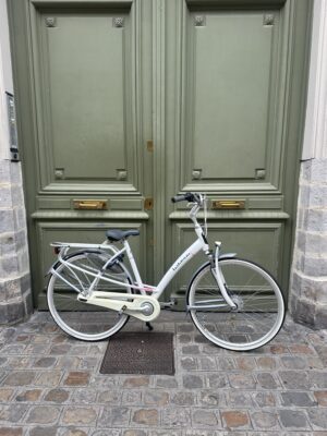 Vélo Hollandais Batavus Mambo