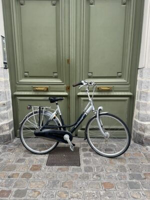 Vélo Hollandais Gazelle Goldline Davos