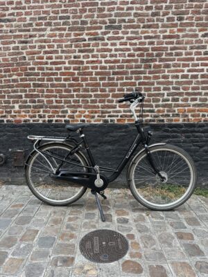 Vélo Hollandais Batavus Mambo
