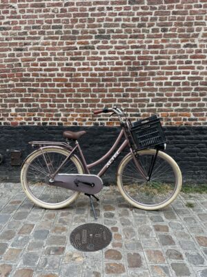 Vélo Hollandais Altec Dutch