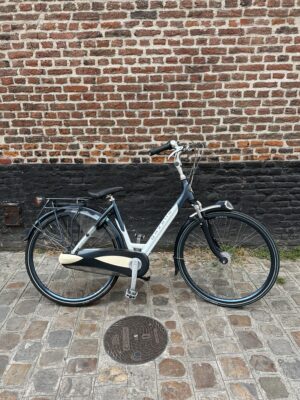 Vélo Hollandais Gazelle Montreux Limited